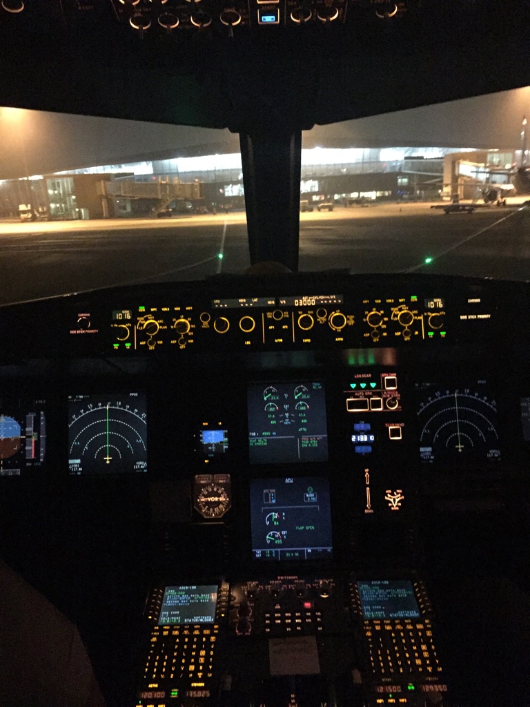 photo vue cockpit 2